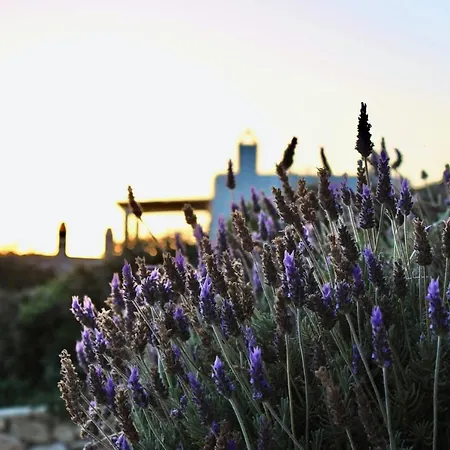 ヴィラ Newly Built Spectacular Sunset At St. John, Mykonos