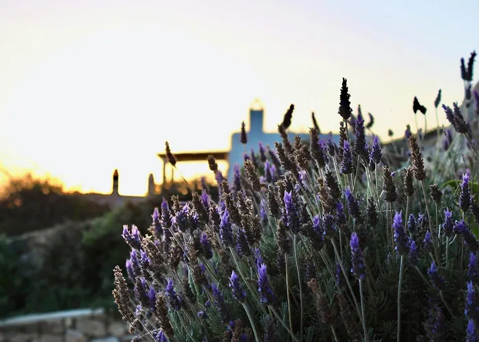 Newly Built Spectacular Sunset At St. John, Mykonos Вилла Agios Ioannis Diakoftis