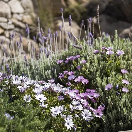 Villa Newly Built Spectacular Sunset At St. John, Mykonos Agios Ioannis Diakoftis