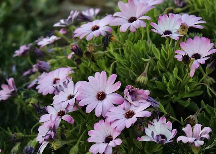Villa Newly Built Spectacular Sunset At St. John, Mykonos *